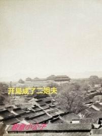 开局姐夫升职 开局姐夫升职